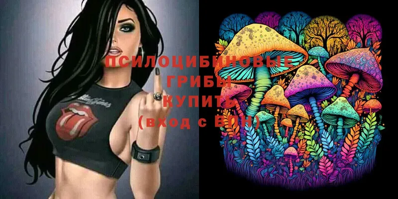 Галлюциногенные грибы MAGIC MUSHROOMS  Буинск 